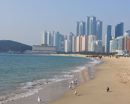 Haeundae Beach, Things to Do & How to Go Guide | KoreaToDo